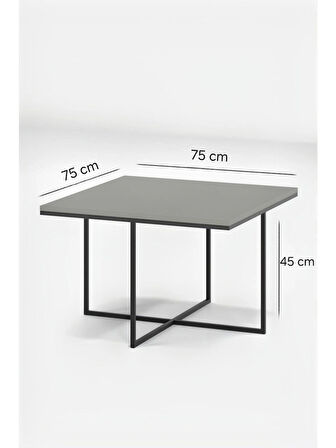 Gümüş Ayak Beyaz Parlak 10mm Glossmax Mdf Membran Orta Sehpa