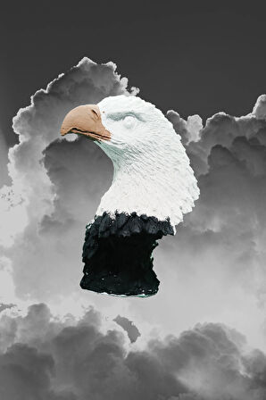 Asil Kartal Heykeli