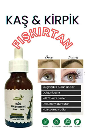Kadın & Erkek Kaş & Kirpik Çıkarmaya Yardımcı Serum - Kaşı Ve Kirpiği Besler, Güçlendirir