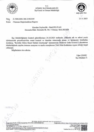 1 Lt Kuzey Ege Erken Hasat Soğuk Sıkım Natürel Sızma Zeytinyağı