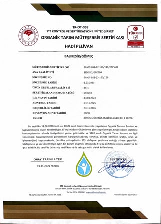 2 Lt Kuzey Ege Erken Hasat Soğuk Sıkım Natürel Sızma Zeytinyağı