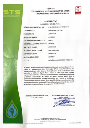 2 Kg Gemlik Siyah Zeytin Doğal Kuru Sele