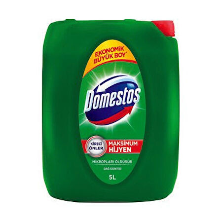 DOMESTOS 2*5 KG