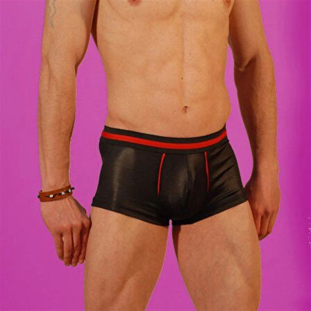 pilelistore DM030912 Erkek Boxer Çamaşır