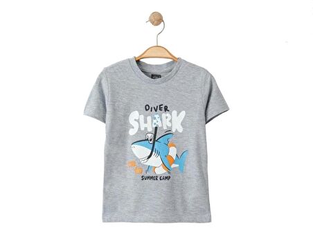 Alme Mini Diver Shark Baskılı Gri Erkek Çocuk Tshirt-4 Yaş