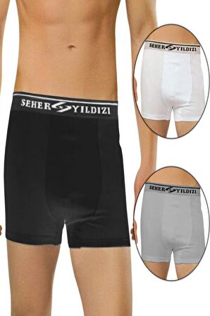6 Adet Seher 060 Likralı Erkek Boxer  Külot
