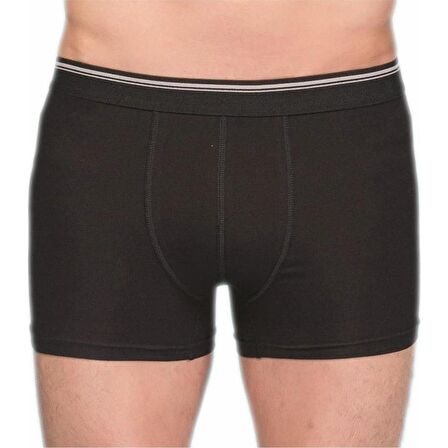 Berrak 1097 Erkek Likralı Esnek Boxer 2 Adet