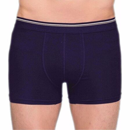 Berrak 1097 Erkek Likralı Esnek Boxer 2 Adet
