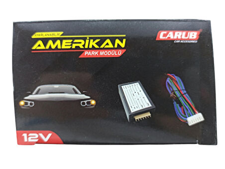 AKYZ-001 AYARLI AMERİKAN PARK MODULÜ 12V.