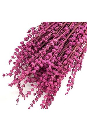 Şoklanmış Doğal Lavanta Demeti Natural Lavender Bundle Fuşya 40-50 Cm