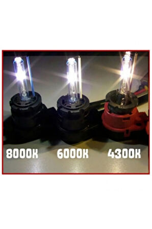 D4R XENON OTO AMPUL 4300K