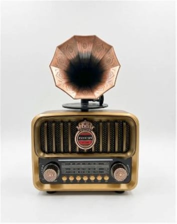 Everton RT-606 Gramofonlu, Şarjlı,  Nostaljik Radyo( Bluetooth-USB-SD-FM) (KDO)