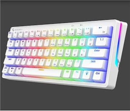 Gameagle GE2015 Poseıdon RGB Kablolu Us Layout Mekanik Beyaz Oyuncu Klavyesi (KDO)