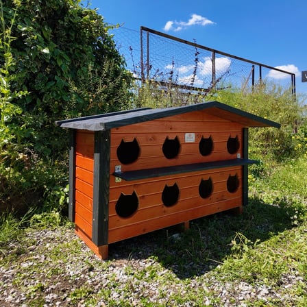 Ahşap Kedi Evi 8 Yuvalı PATİ EMLAK 