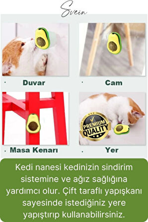 Doğal Avokado Kedi Nanesi Otu Topu Oyuncağı Yapışkanlı Yalama Sakinleştirici Catnip Yenilebilir Çimi