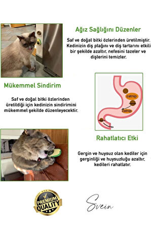 Doğal Avokado Kedi Nanesi Otu Topu Oyuncağı Yapışkanlı Yalama Sakinleştirici Catnip Yenilebilir Çimi