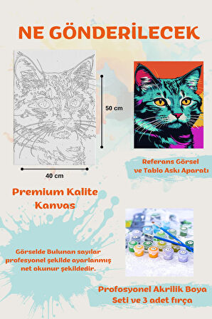 Sayılarla Boyama Seti Numaralı Tuval Fırça Boya Renkli Kedi 40x50 Cm