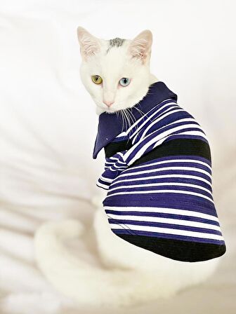 Gentleman Jack Polo Yaka Tişört Kedi Kıyafeti  Kedi Elbisesi