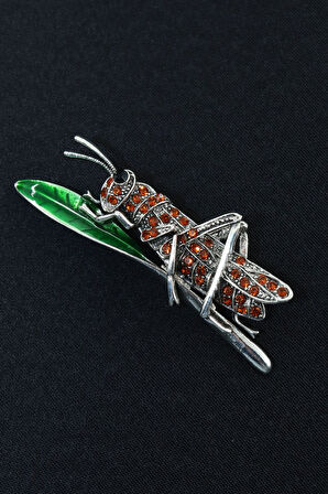 Silver çekirge broş. Yaka iğnesi broş. Taşlı tasarım broş. Unisex broş. Broş. Çekirge broş.