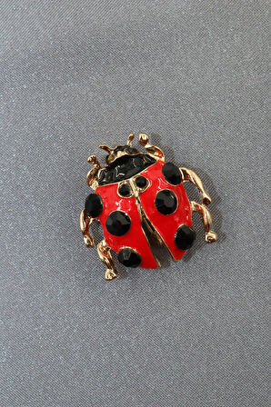 Taşlı uğur böceği broş. Yaka iğnesi uğur böceği broş. Erkek broş. Kadın broş. Uğur böceği broş