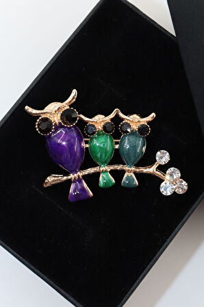 Baykuş ailesi broş. Yaka iğnesi baykuş broş. Taşlı baykuş broş. Kadın broş erkek broş. Baykuş broş.