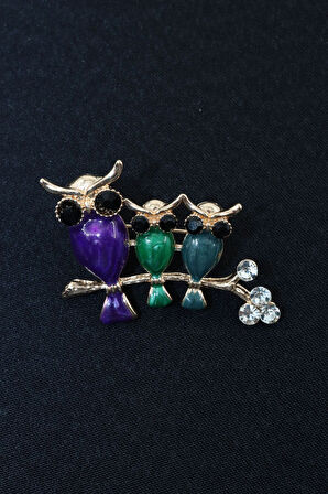 Baykuş ailesi broş. Yaka iğnesi baykuş broş. Taşlı baykuş broş. Kadın broş erkek broş. Baykuş broş.