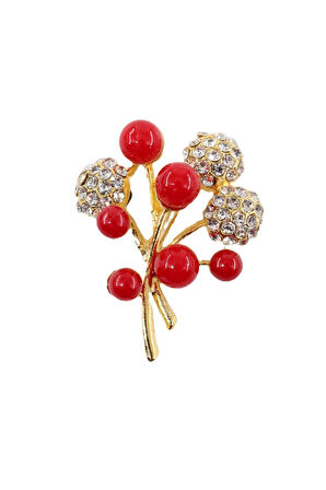 Gilaburu meyveli broş. Yaka iğnesi gilaburu broş, Taşlı tasarım broş. Kadın broş. Gilaburu broş.