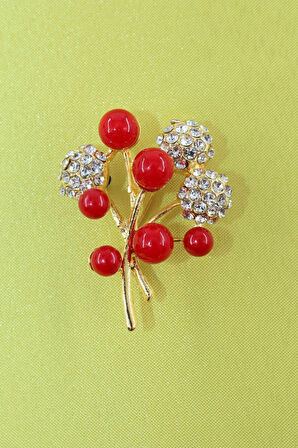 Gilaburu meyveli broş. Yaka iğnesi gilaburu broş, Taşlı tasarım broş. Kadın broş. Gilaburu broş.