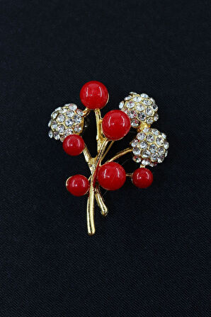 Gilaburu meyveli broş. Yaka iğnesi gilaburu broş, Taşlı tasarım broş. Kadın broş. Gilaburu broş.