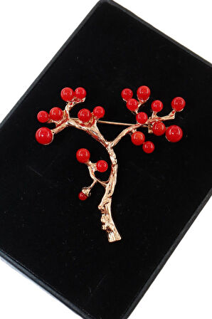 Kırmızı frenk üzümü broş. Yaka iğnesi frenk üzümü broş. Tasarım broş. Kadın broş. Frenk üzümü broş.