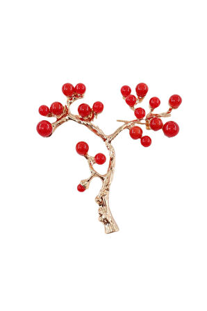 Kırmızı frenk üzümü broş. Yaka iğnesi frenk üzümü broş. Tasarım broş. Kadın broş. Frenk üzümü broş.