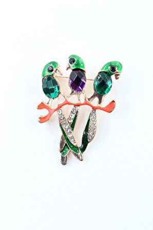 Saka kuşu broş. Taşlı tasarım saka kuşu broş. Yaka iğnesi broş. Kuş broş. Kadın broş. Broş.