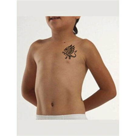 Yürüyen Kanatlı Ejder Tattoo Geçici Dövme Şablonları Kına Kalıpları