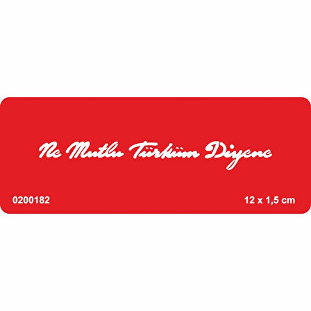 Ne Mutlu Türküm Diyene Tattoo Geçici Dövme Şablonları Kına Kalıpları