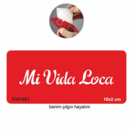 Benim Çılgın Hayatım(İspanyolca)  Tattoo Geçici Dövme Şablonları Kına Kalıpları