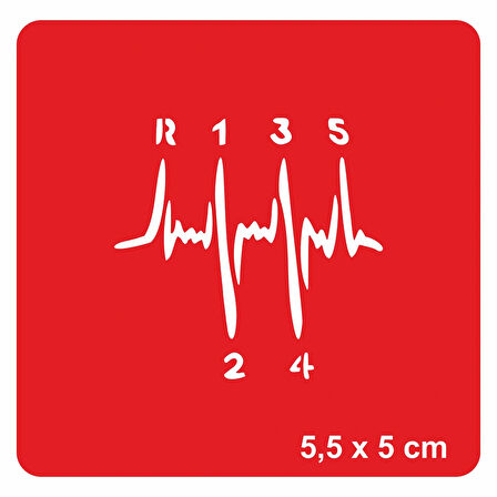 Hız Tutkusu Vites Tattoo Geçici Dövme Şablonları Kına Kalıpları