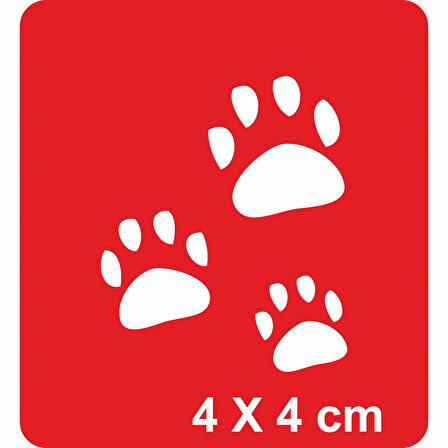 Pati Pati Tattoo Geçici Dövme Şablonları Kına Kalıpları