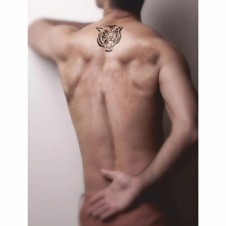 Kükreyen Kaplan Tattoo Geçici Dövme Şablonları Kına Kalıpları