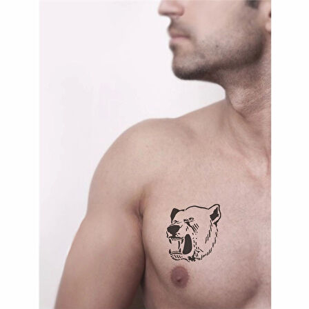 Büyük Ayı Tattoo Geçici Dövme Şablonları Kına Kalıpları