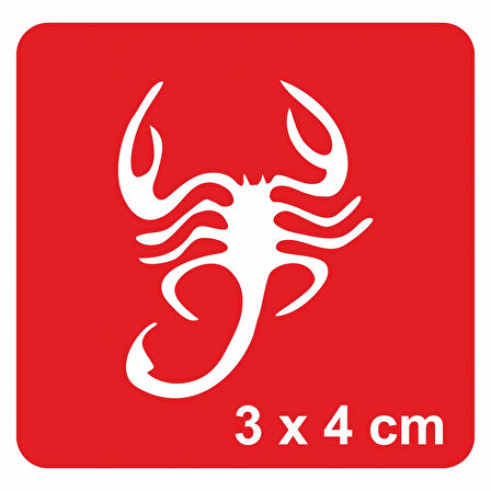 Çöl Akrep Tattoo Geçici Dövme Şablonları Kına Kalıpları