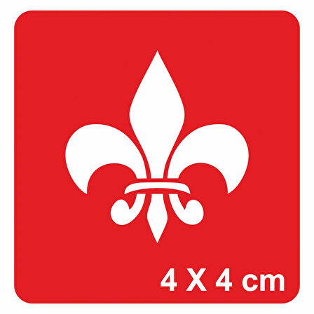 Kraliyet Zambağı-1 Tattoo Geçici Dövme Şablonları Kına Kalıpları