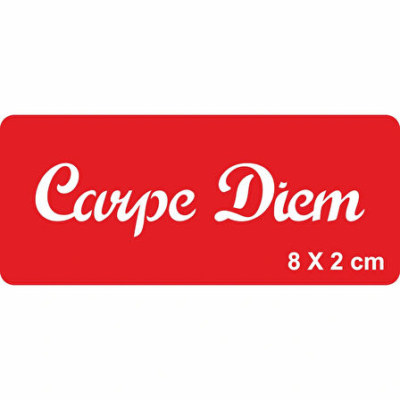 Anı Yaşa El Yazısı Tattoo Dövme Şablonu Kına Deseni