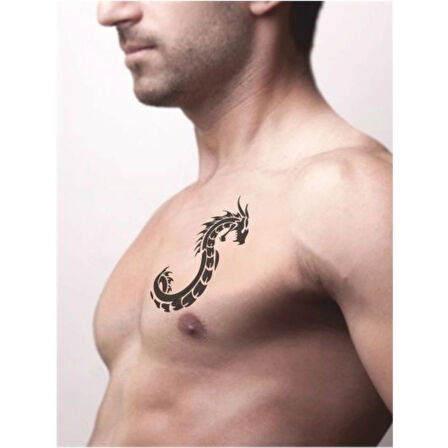 Dev Yılan Saldırısı Tattoo Geçici Dövme Şablonları Kına Kalıpları