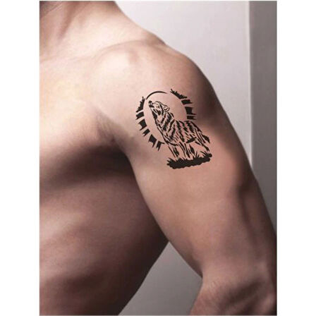 Alfa Kurt Tattoo Geçici Dövme Şablonları Kına Kalıpları