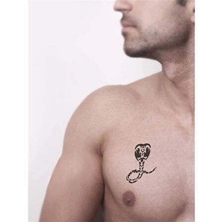 Kobra Yılan Tattoo Geçici Dövme Şablonları Kına Kalıpları