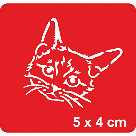 Masum Kedi Tattoo Geçici Dövme Şablonları Kına Kalıpları