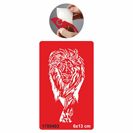 Asya Aslan  Tattoo Geçici Dövme Şablonları Kına Kalıpları