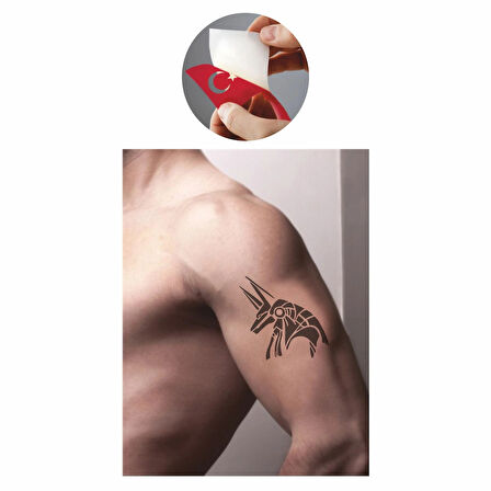 Mısır Tanrısı Seth Tattoo Geçici Dövme Şablonları Kına Kalıpları