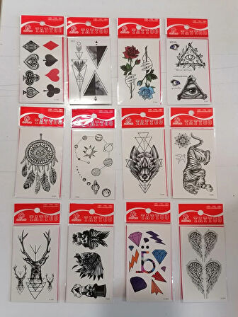 12 Adet Birden Minimal Yapıştırma Dövme Model 4