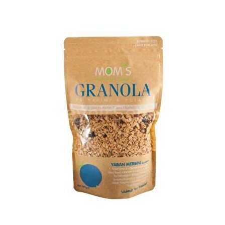 Granola Yaban Mersinli 360 gr